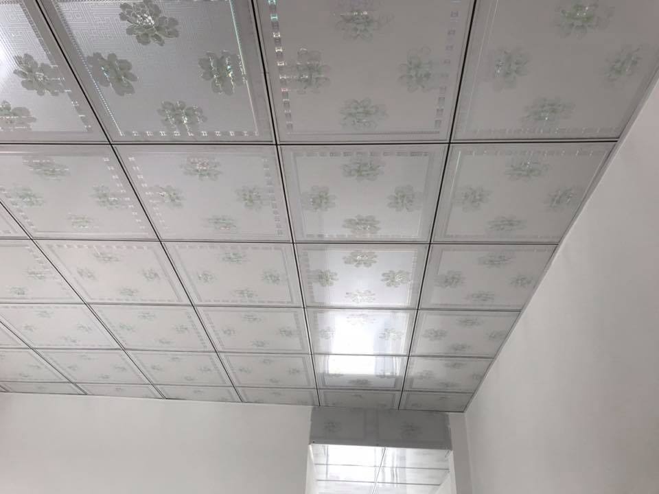 tran-nha-la-phong, mau0tran-la-phong, la-phong-thach-cao, la-phong-tran-tha, thach-cao-hoan-my, tranthachcao,